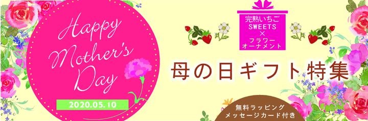 【5月5日まで受付】完熟いちご菓子研究所の母の日ギフト